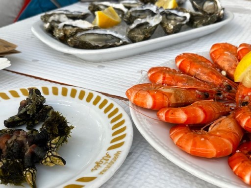 Barnacles, and more…