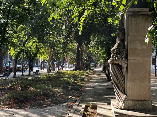 Morning walk down the Avenue