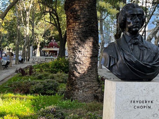 Morning walk down the Avenue