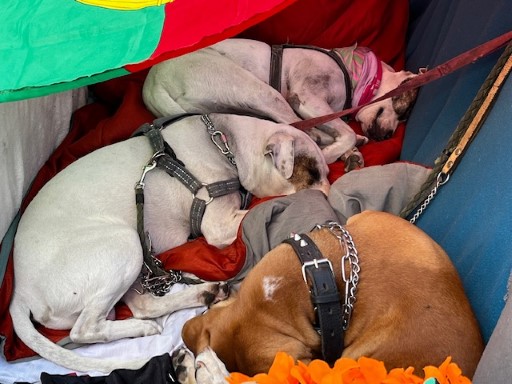 Walking to the station