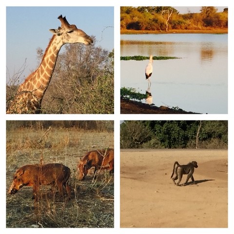 Afternoon drive to Sunset Dam