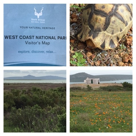 West Coast National Park