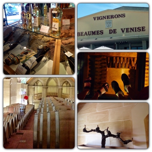 Beaumes de Venise vignerons