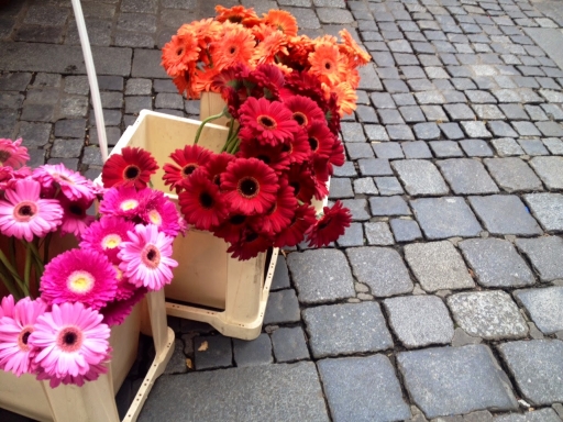 Walking through the plein